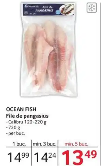 Selgros OCEAN FISH File de pangasius Ofertă