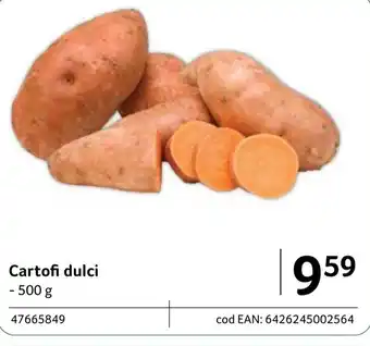 Selgros Cartofi dulci Ofertă
