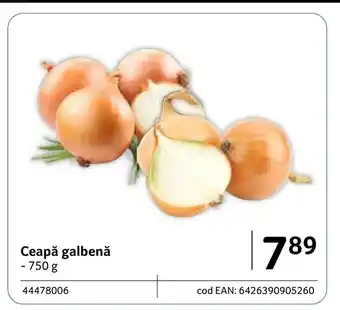 Selgros Ceapă galbenă Ofertă