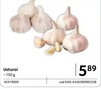 Selgros Usturoi Ofertă