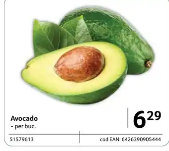 Selgros Avocado Ofertă