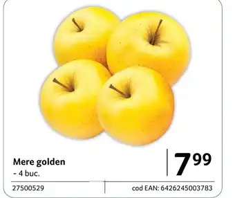 Selgros Mere golden Ofertă