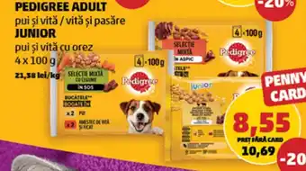 Penny PEDIGREE ADULT Ofertă