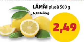 Penny LĂMÂI plasă 500 g Ofertă