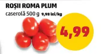 Penny ROȘII ROMA PLUM Ofertă