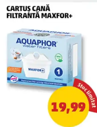 CARTUS CANĂ FILTRANTĂ MAXFOR+