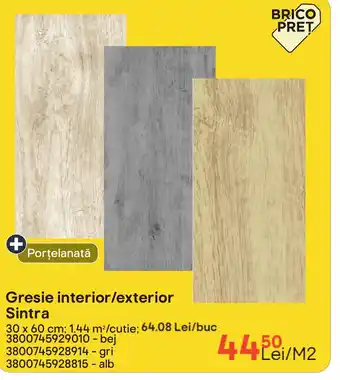 Brico Depôt Gresie interior/exterior Sintra Ofertă