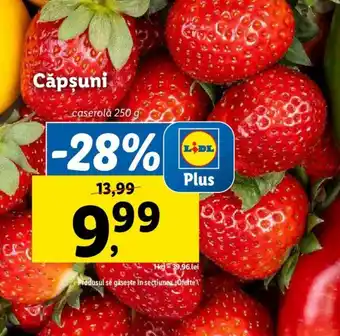 Lidl Căpşuni Ofertă