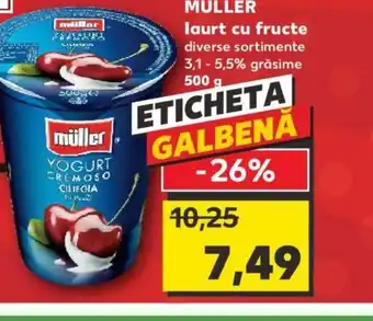Kaufland MULLER laurt cu fructe Ofertă