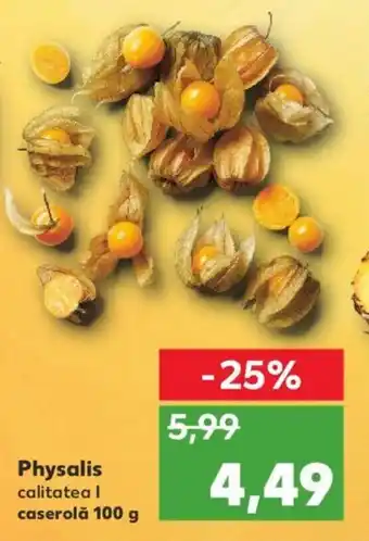 Kaufland Physalis Ofertă