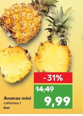 Kaufland Ananas mini Ofertă