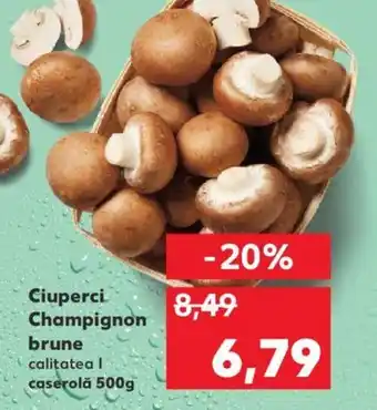 Kaufland Ciuperci Champignon brune Ofertă