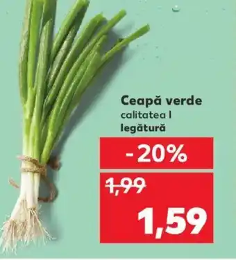 Kaufland Ceapă verde Ofertă