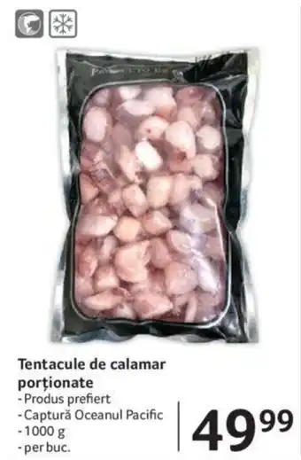 Selgros Tentacule de calamar porţionate Ofertă