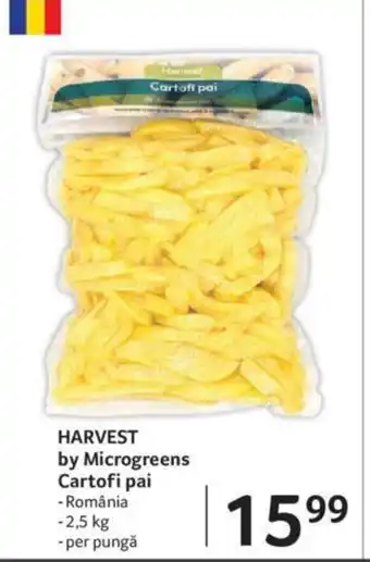 Selgros HARVEST by Microgreens Cartofi pai Ofertă