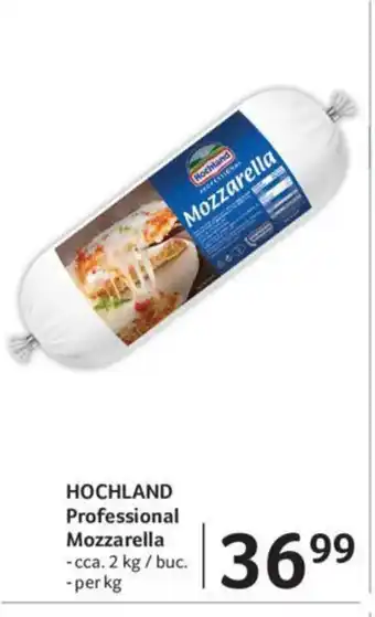 Selgros HOCHLAND Professional Mozzarella Ofertă