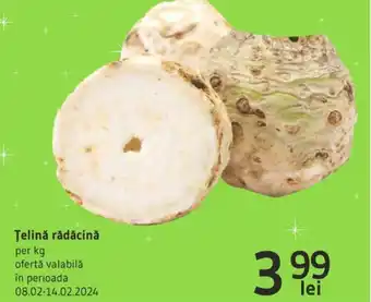 Supeco Țelinǎ rădăcină Ofertă