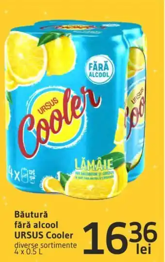 Supeco Băutură fără alcool URSUS Cooler Ofertă
