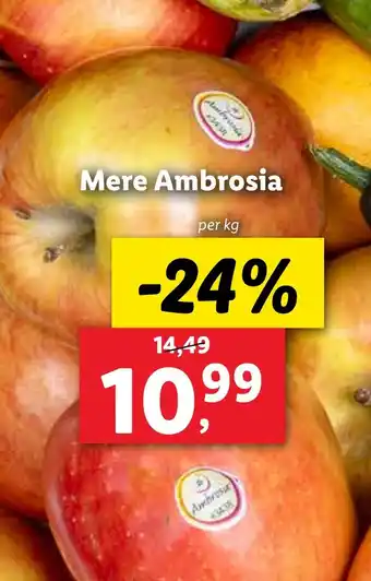 Lidl Mere Ambrosia Ofertă