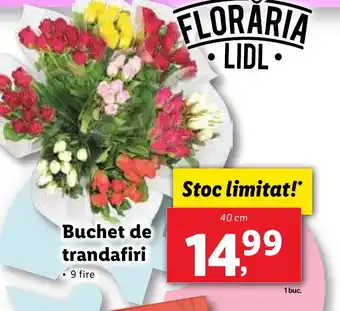 Lidl Buchet de trandafiri Ofertă