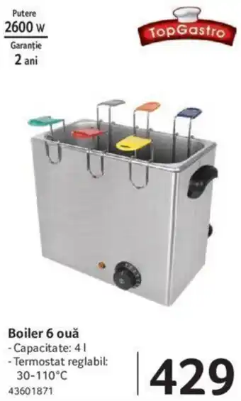 Selgros Boiler 6 ouă Ofertă