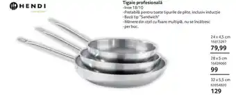 Selgros Tigaie profesională Ofertă