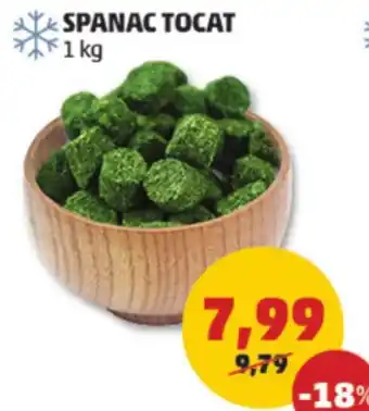 SPANAC TOCAT