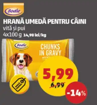Penny HRANĂ UMEDĂ PENTRU CÂINI Ofertă