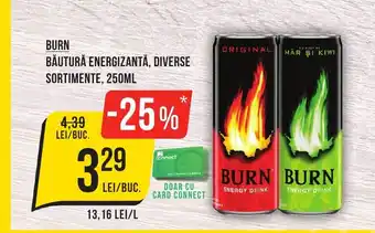Mega Image BURN BĂUTURĂ ENERGIZANTĂ, DIVERSE SORTIMENTE, 250ML Ofertă