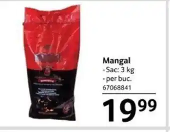 Selgros Mangal Ofertă