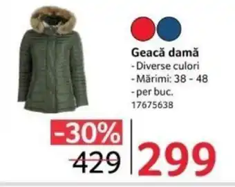 Selgros Geacă damă Ofertă