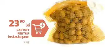 Auchan CARTOFI PENTRU ÎNSĂMÂNŢARE Ofertă
