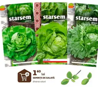 Auchan SEMINȚE DE SALATĂ Ofertă