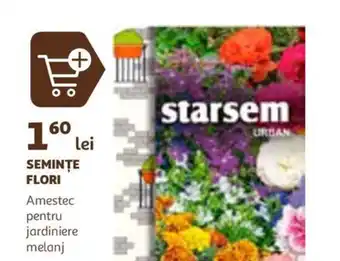 Auchan SEMINŢE FLORI Amestec pentru jardiniere melanj Ofertă