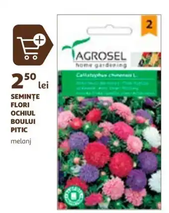 Auchan SEMINTE FLORI OCHIUL BOULUI PITIC Ofertă