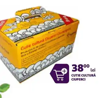 Auchan CUTIE CULTURĂ CIUPERCI Ofertă