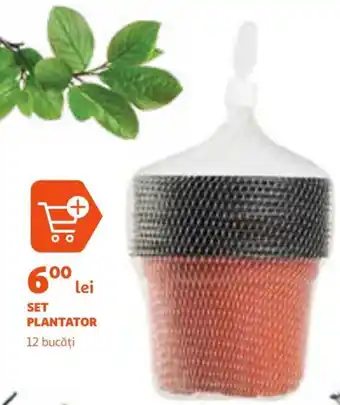 Auchan SET PLANTATOR Ofertă