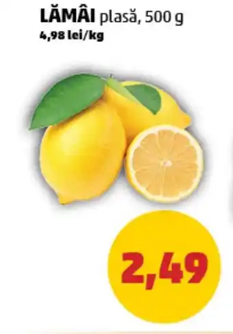 Penny LĂMÂI Ofertă