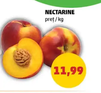 Penny NECTARINE Ofertă