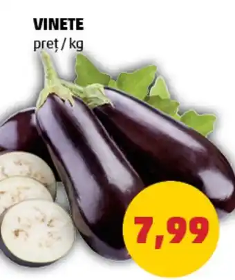 Penny VINETE Ofertă