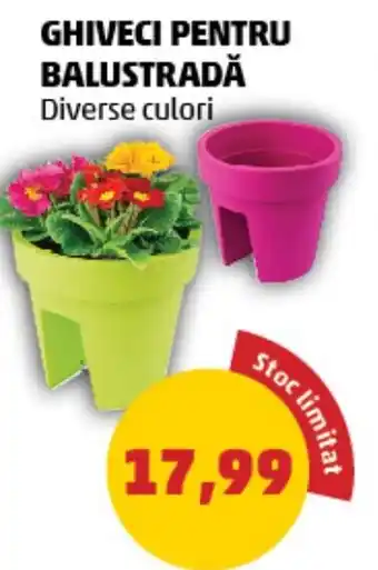 GHIVECI PENTRU BALUSTRADĂ