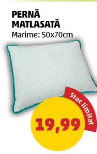 Penny PERNĂ MATLASATĂ Ofertă