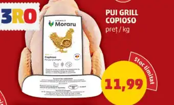Penny PUI GRILL COPIOSO Ofertă