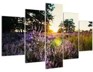 Favi Tablou - Câmp cu lavandă (150x105 cm) Ofertă