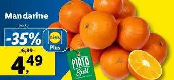 Lidl Mandarine Ofertă