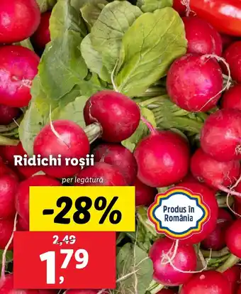 Ridichi roşii