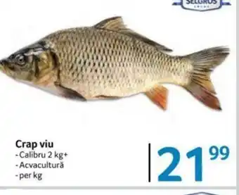Selgros Crap viu Ofertă