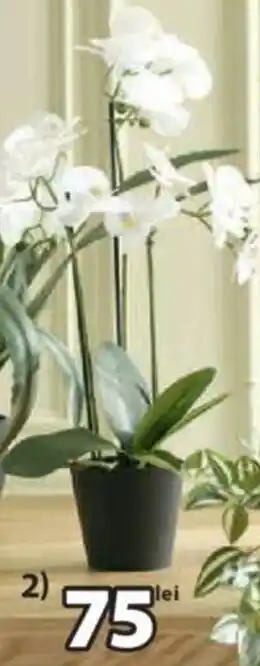 JYSK MATINUS PLANTĂ ARTIFICIALĂ Ofertă