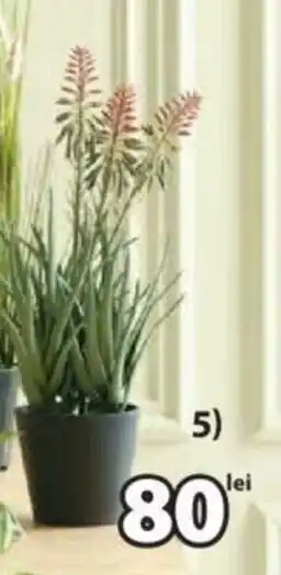 JYSK RASMUS PLANTĂ ARTIFICIALĂ Ofertă