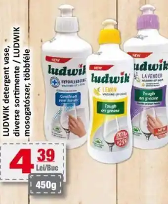 CBA LUDWIK detergent vase, diverse sortimente Ofertă